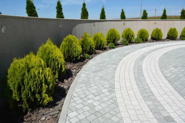 Best Concrete Paver Driveway  in Williamson, WV