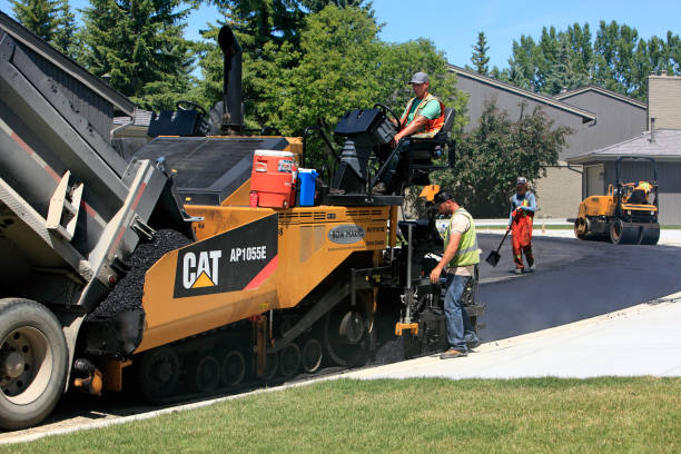 Best Driveway Pavers Contractor  in Williamson, WV