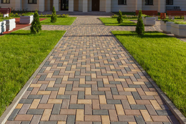 Best Driveway Paver Repair  in Williamson, WV